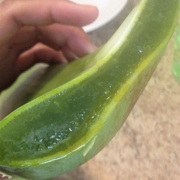 Earthgood 3.5oz Cranberry Face & Body Lotion. Ethical Sustainable Skin Care. New - Picture 7 of 9